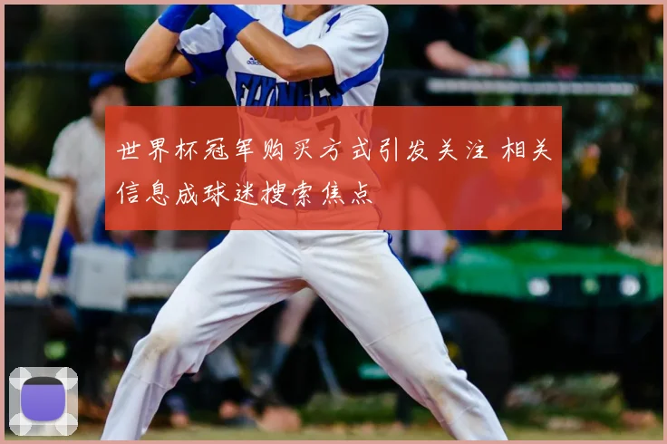 世界杯冠军购买方式引发关注 相关信息成球迷搜索焦点
