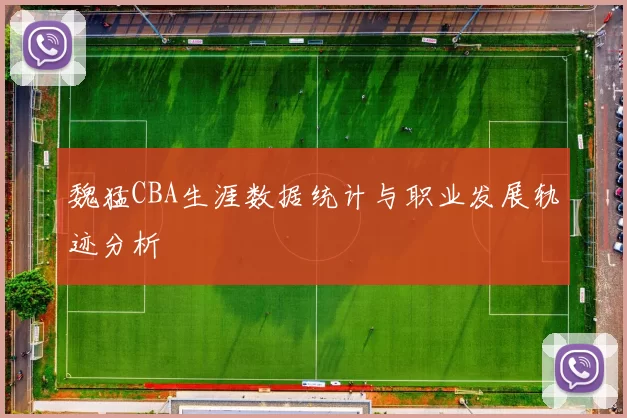 魏猛CBA生涯数据统计与职业发展轨迹分析