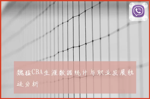 魏猛CBA生涯数据统计与职业发展轨迹分析